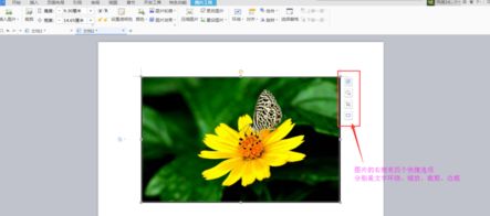 wps文字2016怎么给图片加边框?wps2016自定义加图片边框和文字方法