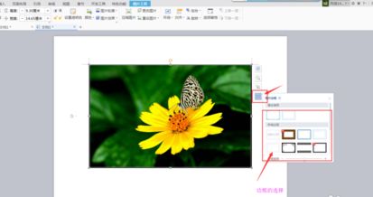 wps文字2016怎么给图片加边框?wps2016自定义加图片边框和文字方法