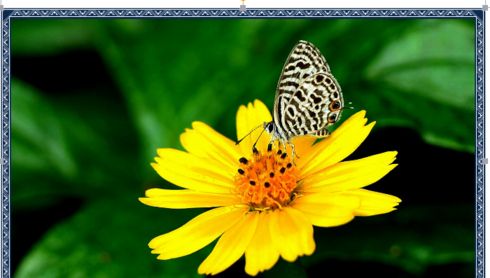 wps文字2016怎么给图片加边框?wps2016自定义加图片边框和文字方法