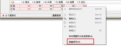 Beyond Compare隐藏和显示文本细节教程