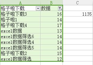 excel 筛选 自动求和公式_excel2016数据高级筛选结果自动求和函数