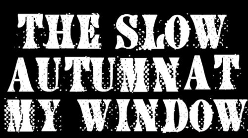 会声会影X7怎么制作多种字体效果的视频_会声会影X7制作各种字体样式图文教程
