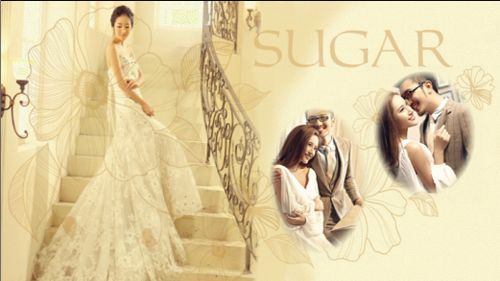 会声会影X8如何做婚礼杂志视频?会声会影x8制作婚礼教学视频教程