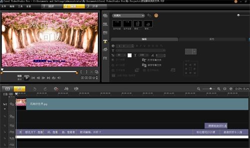 会声会影x8怎么给视频添加歌词字幕?会声会影x8加字幕特效教程