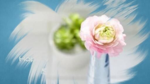 会声会影X8如何制作浪漫表白视频短片_会声会影X8创意表白视频制作教程