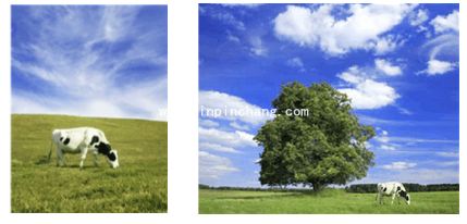 cdrx7位图颜色遮罩功能怎么用?cdrx7位图颜色遮罩替换颜色实例