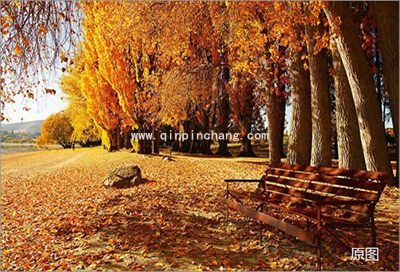 怎么用彩影快速制作日历