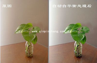 光影魔术手的白平衡校正有什么用?光影魔术手白平衡校正的功能介绍