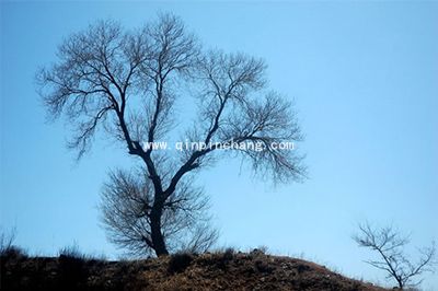 彩影快速添加照片边框方法