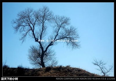 彩影快速添加照片边框方法