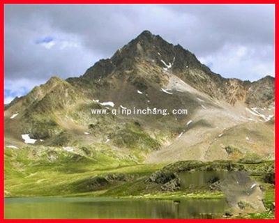 picpick图片处理软件如何给图片加相框?picpick给图片加相框的方法