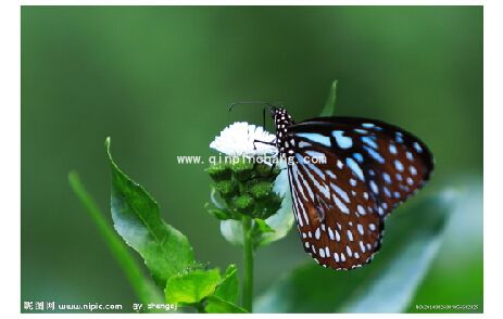 CorelDRAW x7切除图片多余像素_coreldraw x7切割图形多余像素方法合集