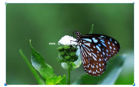 CorelDRAW x7切除图片多余像素_coreldraw x7切割图形多余像素方法合集