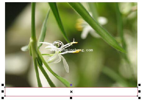 CorelDRAW x7切除图片多余像素_coreldraw x7切割图形多余像素方法合集