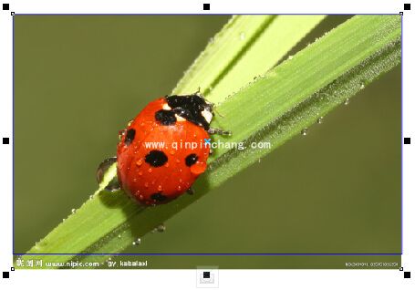 CorelDRAW x7切除图片多余像素_coreldraw x7切割图形多余像素方法合集