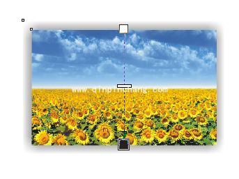 cdr怎么给图片加阴影效果?cdr图片加阴影效果图制作方法