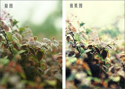 彩影怎么制作浪漫梦境效果