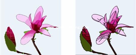 cdr描摹位图功能在哪里?coreldraw位图轮廓描摹操作方法