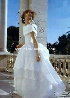 PS_PS照片轮廓虚化处理