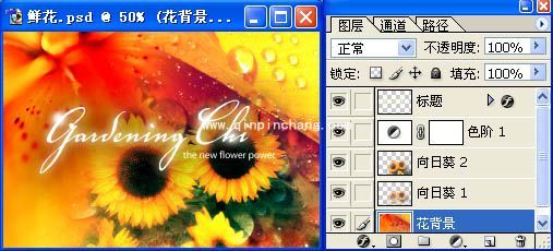PS_新手应该需要知道的一些关于PS的专业术语