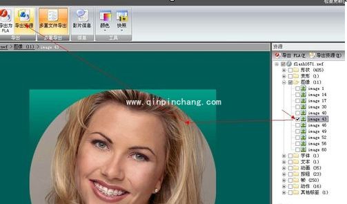 什么软件可以修改flash中的文字?编辑修改flash中的文字实例教程