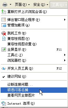 硕思闪客精灵怎么下载网页中的flash视频?最快速下载网页中的flash视频方法