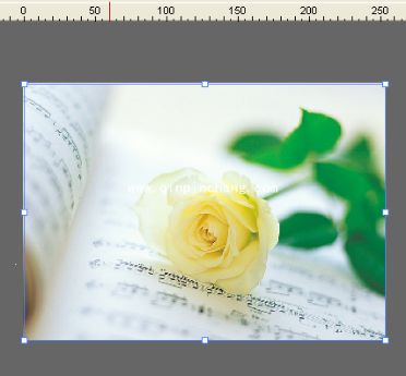 swishmax4 Flash动画制作软件怎么使用?swishmax4使用教程