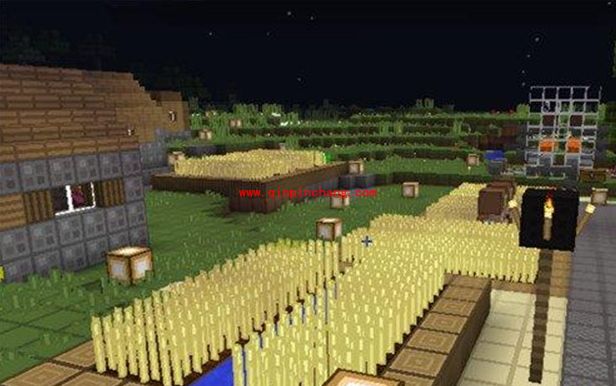 我的世界1.62村民怎么才能种田?我的世界1.62村民种田都种些什么?