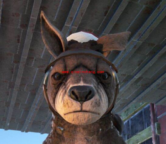 方舟生存进化巨型袋鼠在哪里？方舟生存进化巨型袋鼠怎么驯服？