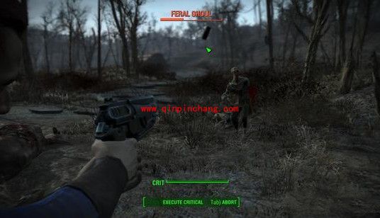 辐射4最强流派是什么？辐射4最强流派适合新手么？