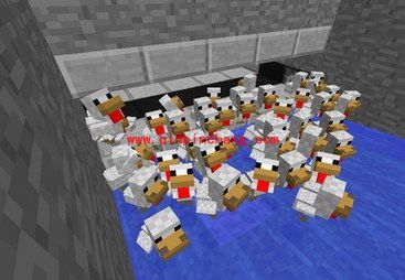 我的世界简易自动刷鸡蛋机怎么做？我的世界自动刷蛋机原理是什么？