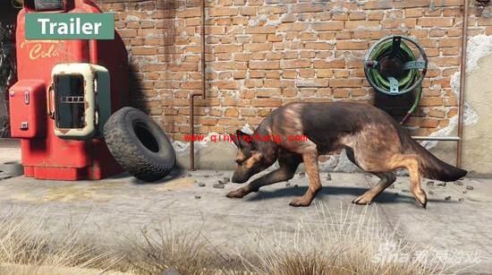 《辐射4》怎么复制弹药?《辐射4》如何不用代码复制子弹?