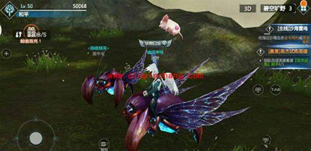 剑与魔法星空甲虫培养攻略 星空甲虫获取方法详解