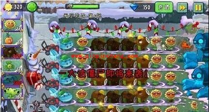 植物大战僵尸2无尽模式怎么打？植物大战僵尸2无尽模式植物搭配简单通关攻略