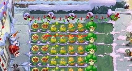 植物大战僵尸2无尽模式怎么打？植物大战僵尸2无尽模式植物搭配简单通关攻略