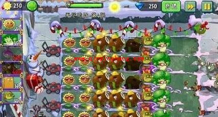 植物大战僵尸2无尽模式怎么打？植物大战僵尸2无尽模式植物搭配简单通关攻略