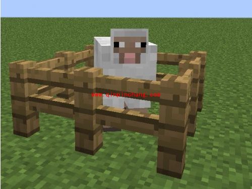 我的世界1.62动物怎么繁殖？我的世界1.62动物繁殖攻略