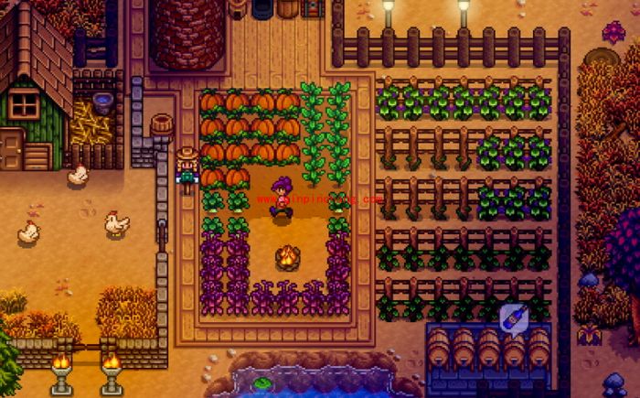 星露谷物语陨石有什么用？星露谷物语陨石在哪？