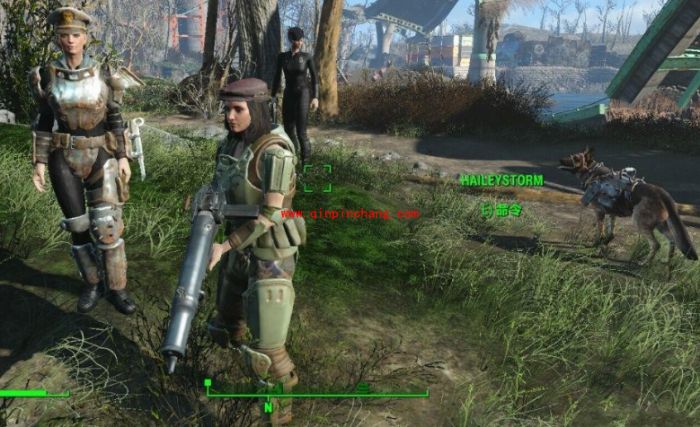 辐射4伙伴找不到了怎么办？辐射4伙伴找不到了解决攻略