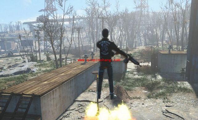 辐射4结婚戒指是干嘛的?辐射4可以结婚吗?