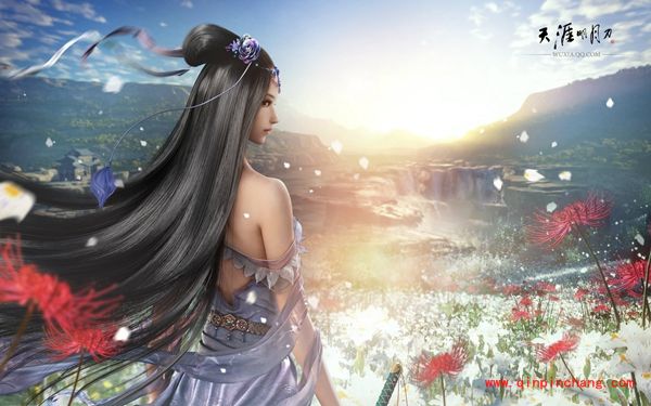 天涯明月刀_天涯明月刀:成就点坐标大集合