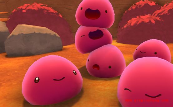 史莱姆牧场找不到回去的路怎么办?史莱姆牧场快速解决迷路办法