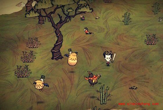 《饥荒》海滩鹈鹕总是跟丢是什么原因?《饥荒》鹈鹕丢失怎么办?