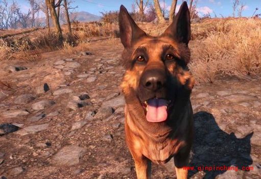 辐射4狗肉装备怎么获得?辐射4狗肉装备代码是多少?