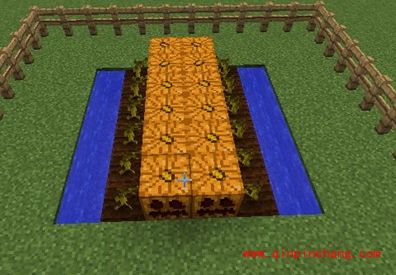 我的世界1.62南瓜怎么种?我的世界1.62南瓜用什么采?