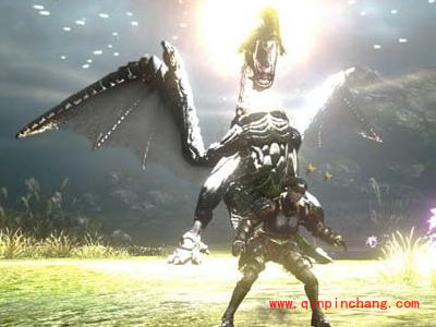 怪物猎人ol毒怪鸟怎么破头？怪物猎人ol毒怪鸟攻略