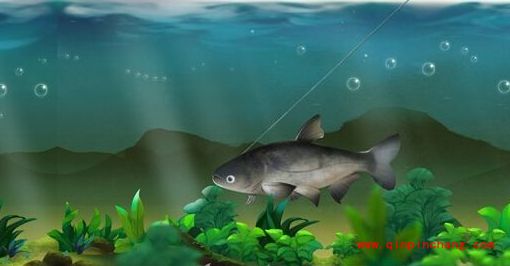 侠客风云传钓鱼怎么玩?侠客风云传哪个钓鱼位置好?