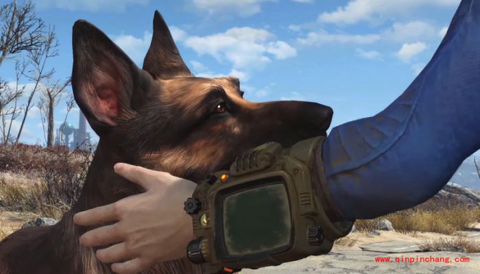 辐射4水晶在哪弄?辐射4水晶代码有没有用?