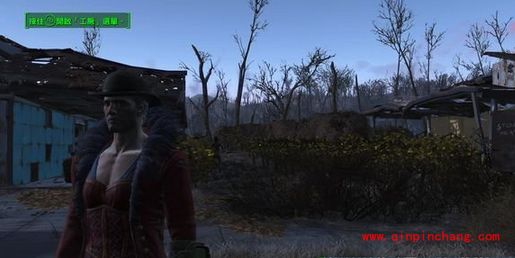 辐射4变异果代码是什么?辐射4变异果代码能捡到么?