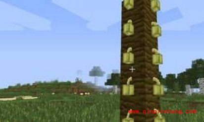 我的世界1.62可可豆有什么用?我的世界1.62可可豆怎么获得?